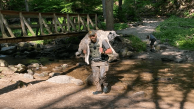 Ranger Saves Overheated Dog, Carrying Him Miles Down A Rocky Trail