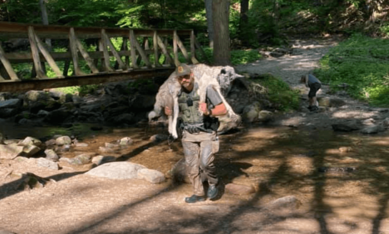 Ranger Saves Overheated Dog, Carrying Him Miles Down A Rocky Trail