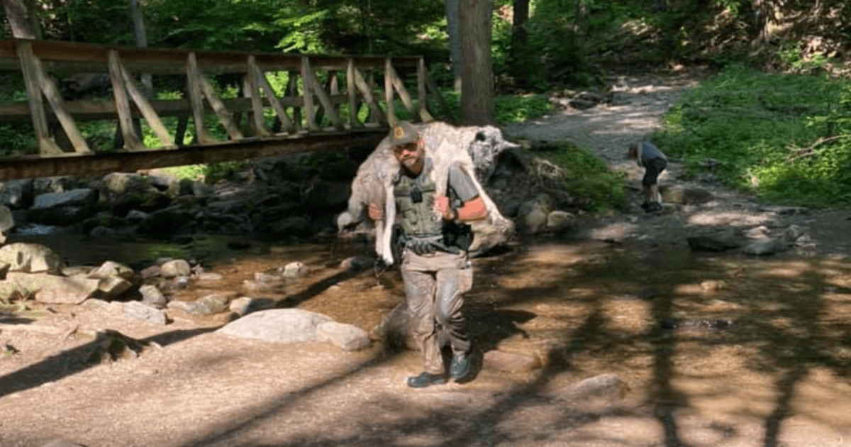 Ranger Saves Overheated Dog, Carrying Him Miles Down A Rocky Trail