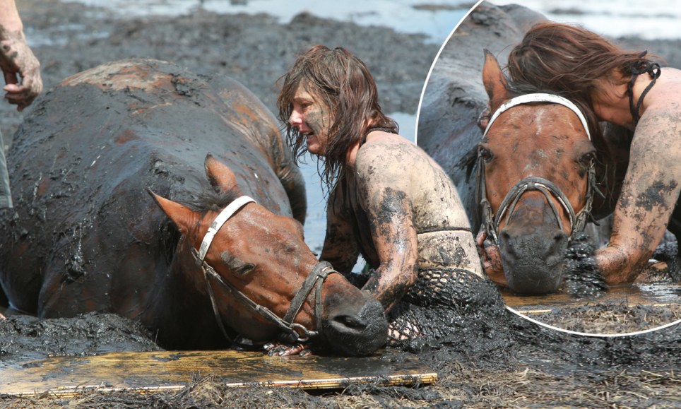 Race against the tide: Bravery of young mother who stayed by her horse's side for THREE HOURS after getting trapped in mud 'like quicksand'