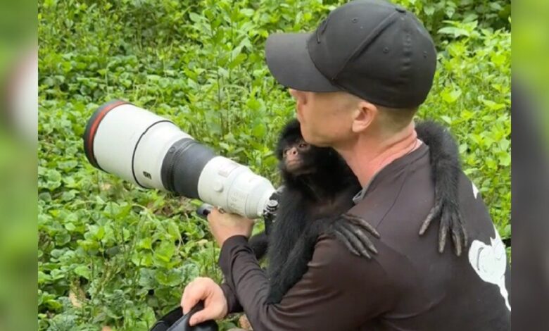 Monkey Immediately Recognizes Guy Who Helped Her 2 Years Later