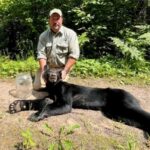 Bear freed after getting its head stuck in a jar – unclear if it contained honey