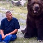 Meet Jimmy the 9 foot orphaned bear who likes to cuddle his owners