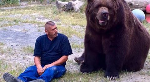 Meet Jimmy the 9 foot orphaned bear who likes to cuddle his owners