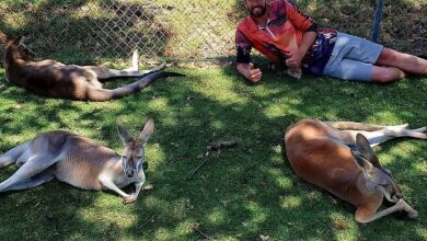 Greig Tonkins (pictured), who famously punched a kangaroo in the face in 2016, has broken his silence on the incident more than two years on