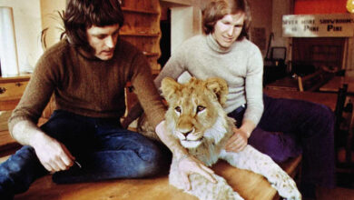Men Come Face to Face with Lion in the Wild 2 Years After Buying Him at Department Store