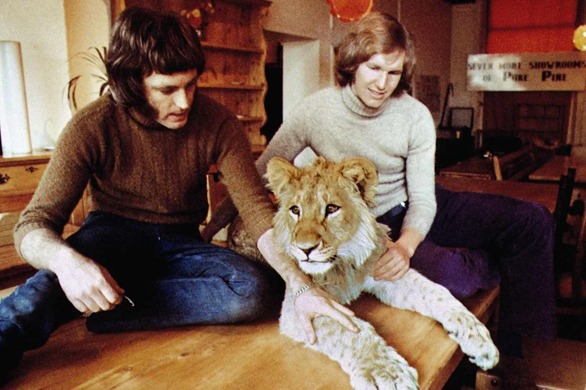 Men Come Face to Face with Lion in the Wild 2 Years After Buying Him at Department Store