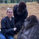 Donna Air's daughter Freya Aspinall fed treats to a pair of gorillas that she has known since birth in touching video
