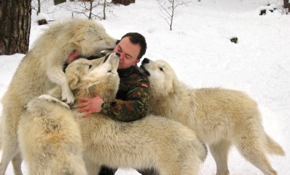 Man Who Runs With the Wolves