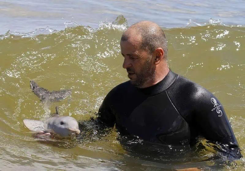 A Tale of Compassion Beneath the Waves. – Daily News