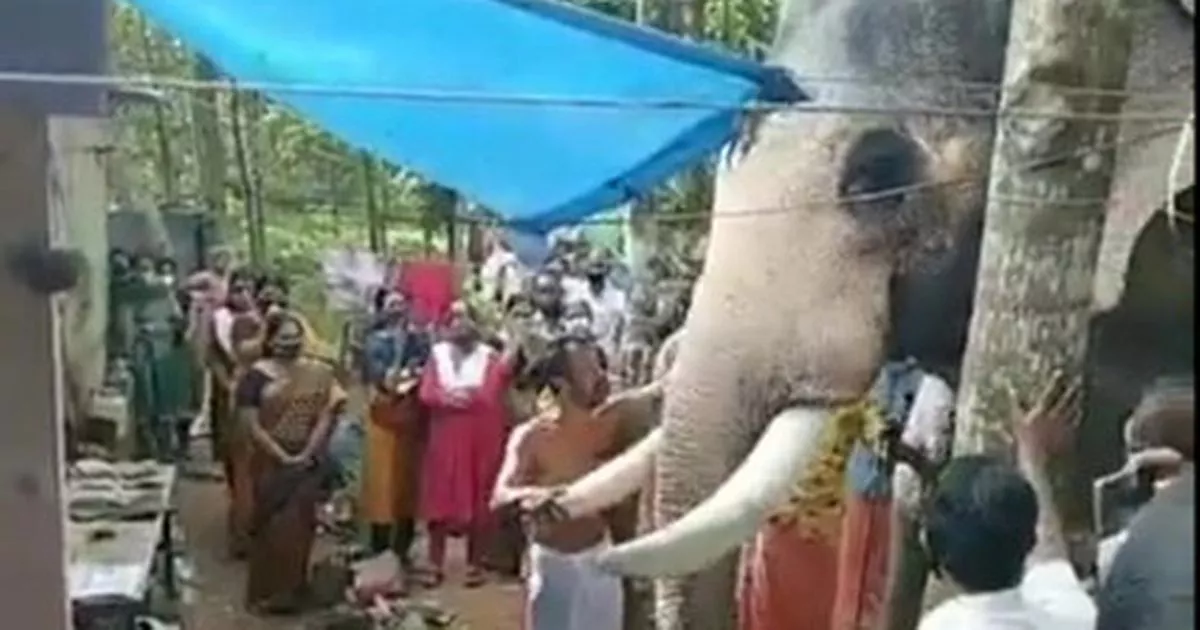 The elephant, named Brahmadathan, appeared to be in mourning