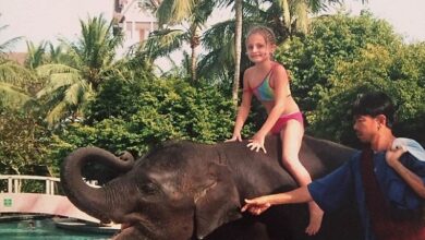 Amber Owen was on holiday in Thailand when the tsunami struck on Boxing Day 2004, and is seen here on the back of Ning Nong the elephant