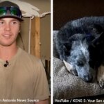 Miracle Reunion As Family Dog Found Hiding In Washing Machine During Texas Floods