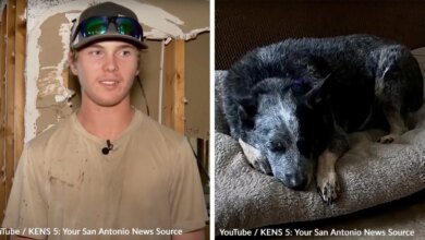 Miracle Reunion As Family Dog Found Hiding In Washing Machine During Texas Floods