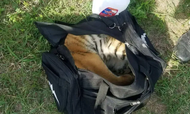 A Rescue at the Border. – Daily News