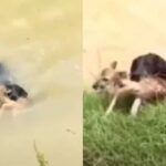 A black plume of smoke rises from a warehouse in the industrial area of Sharjah City following reports of Iranian strikes in Dubai. (Photo: AP/File)