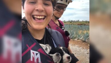 Friends Set Out On Bike Ride Alone And Cycle Home With Shirts Full Of Babies