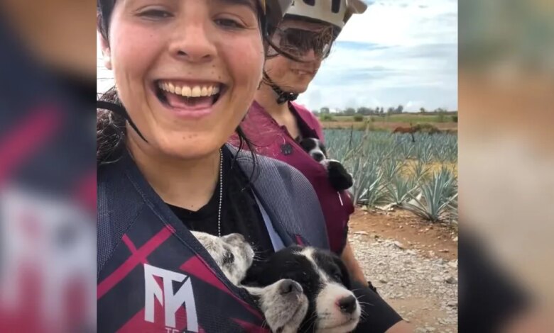 Friends Set Out On Bike Ride Alone And Cycle Home With Shirts Full Of Babies