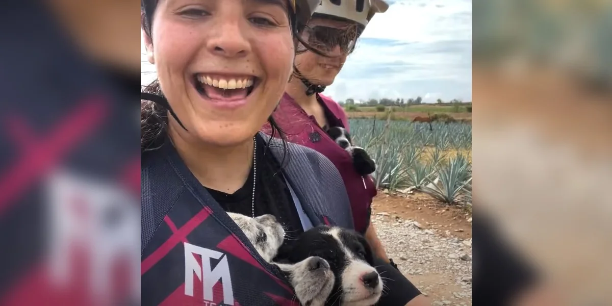 Friends Set Out On Bike Ride Alone And Cycle Home With Shirts Full Of Babies