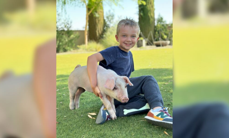 Family rescues pig after he falls out of truck on highway