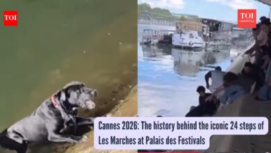 Peak humanity: Parisians form a human chain to save a drowning pup from the Seine River |