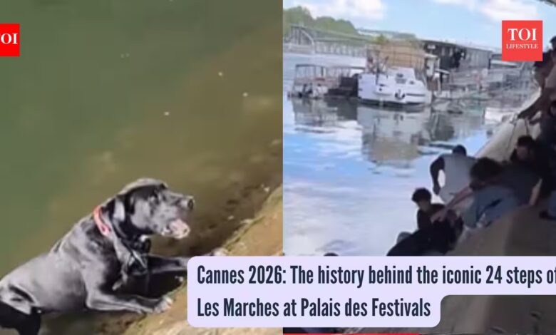 Peak humanity: Parisians form a human chain to save a drowning pup from the Seine River |