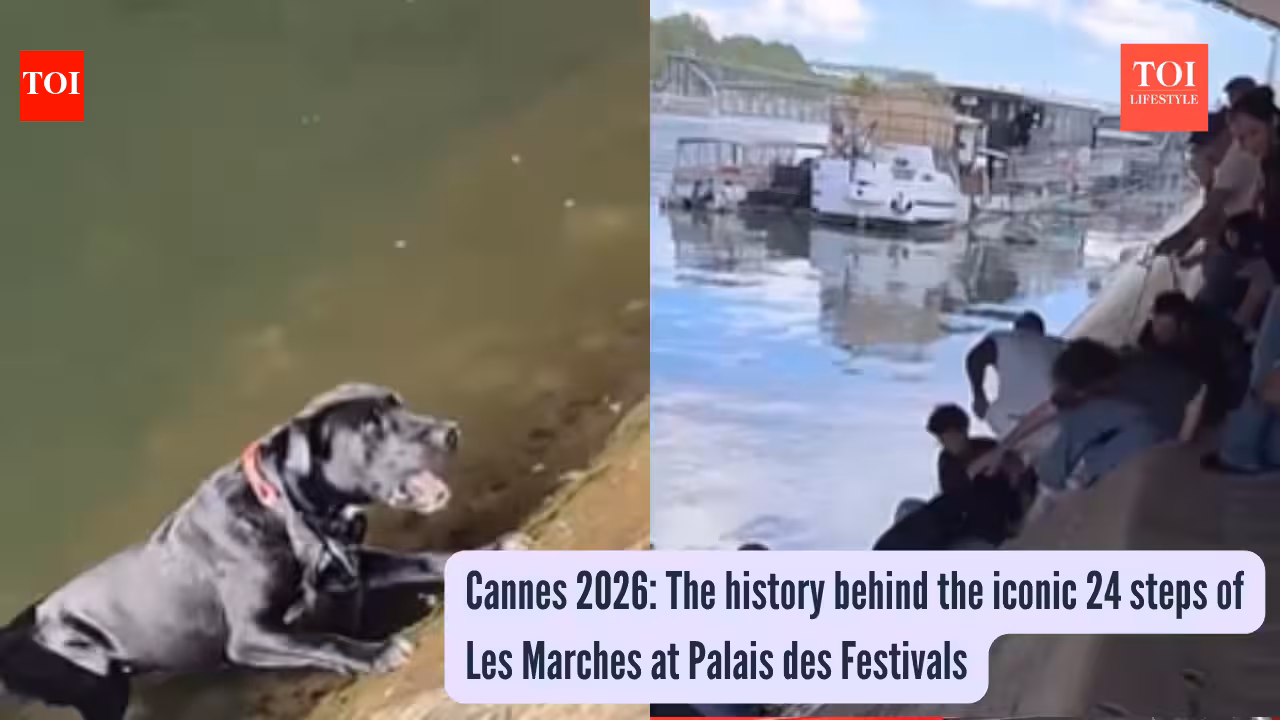 Peak humanity: Parisians form a human chain to save a drowning pup from the Seine River |