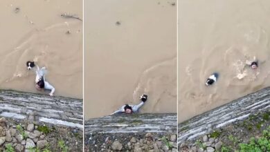 "You Don't Abandon Family": Woman Refuses To Let Go Of Her Dog In Raging Guangxi Floodwaters