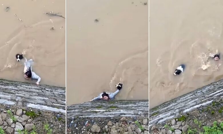 "You Don't Abandon Family": Woman Refuses To Let Go Of Her Dog In Raging Guangxi Floodwaters