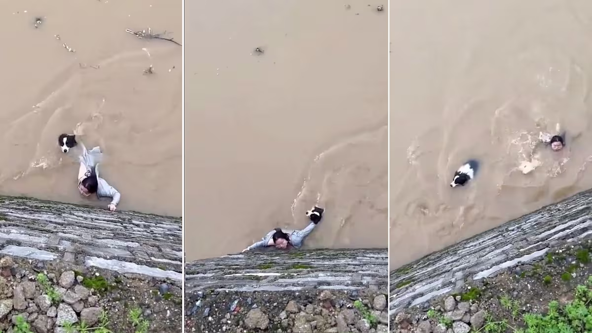 "You Don't Abandon Family": Woman Refuses To Let Go Of Her Dog In Raging Guangxi Floodwaters