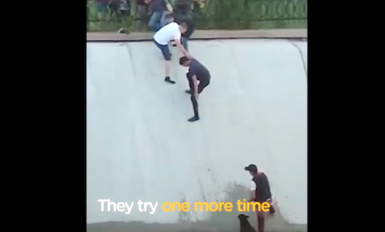 Human Chain Forms To Rescue Dog Stranded In Canal