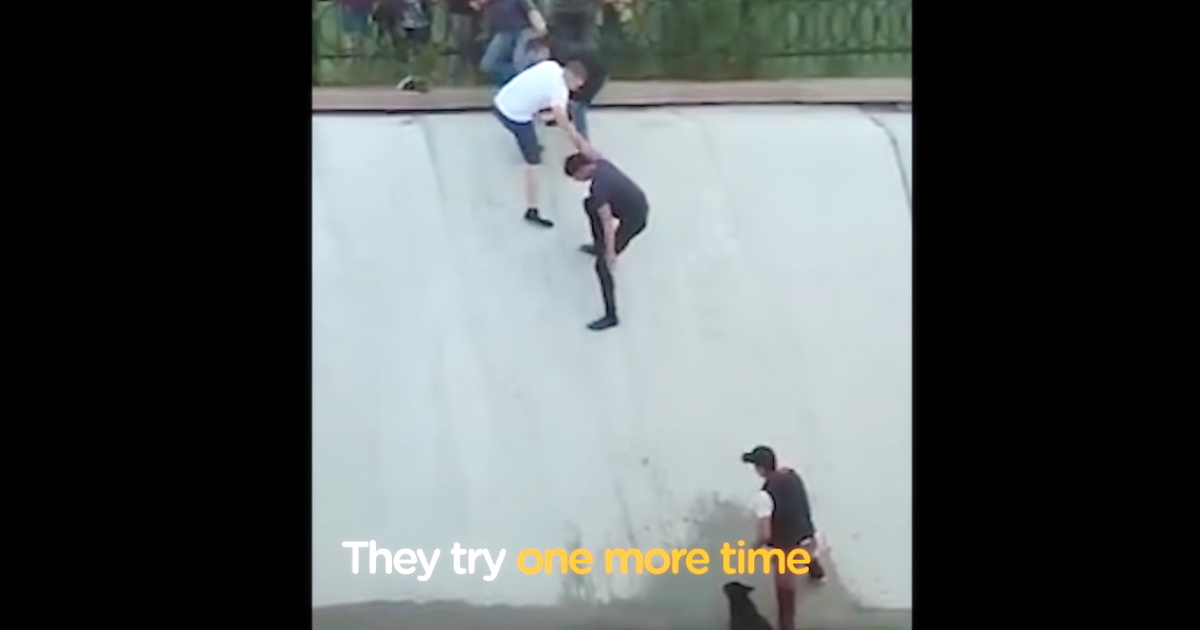 Human Chain Forms To Rescue Dog Stranded In Canal